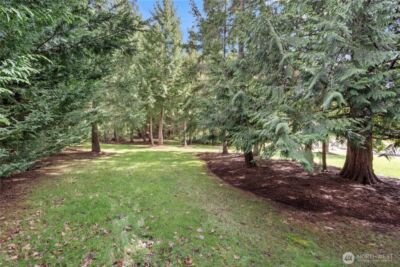 16615 154th Lane SE, Yelm, WA 98597 - Photo 30