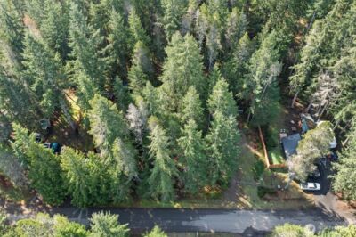 31 N Brook Lane , Hoodsport, WA 98548 - Photo 30