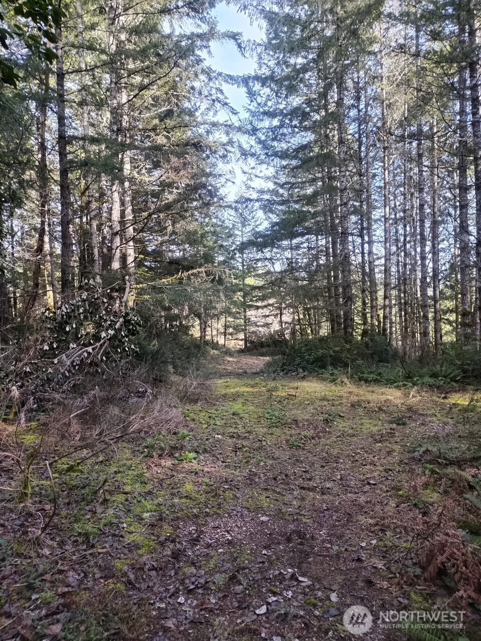 0 Old Sawmill Place NW, Bremerton, WA 98383