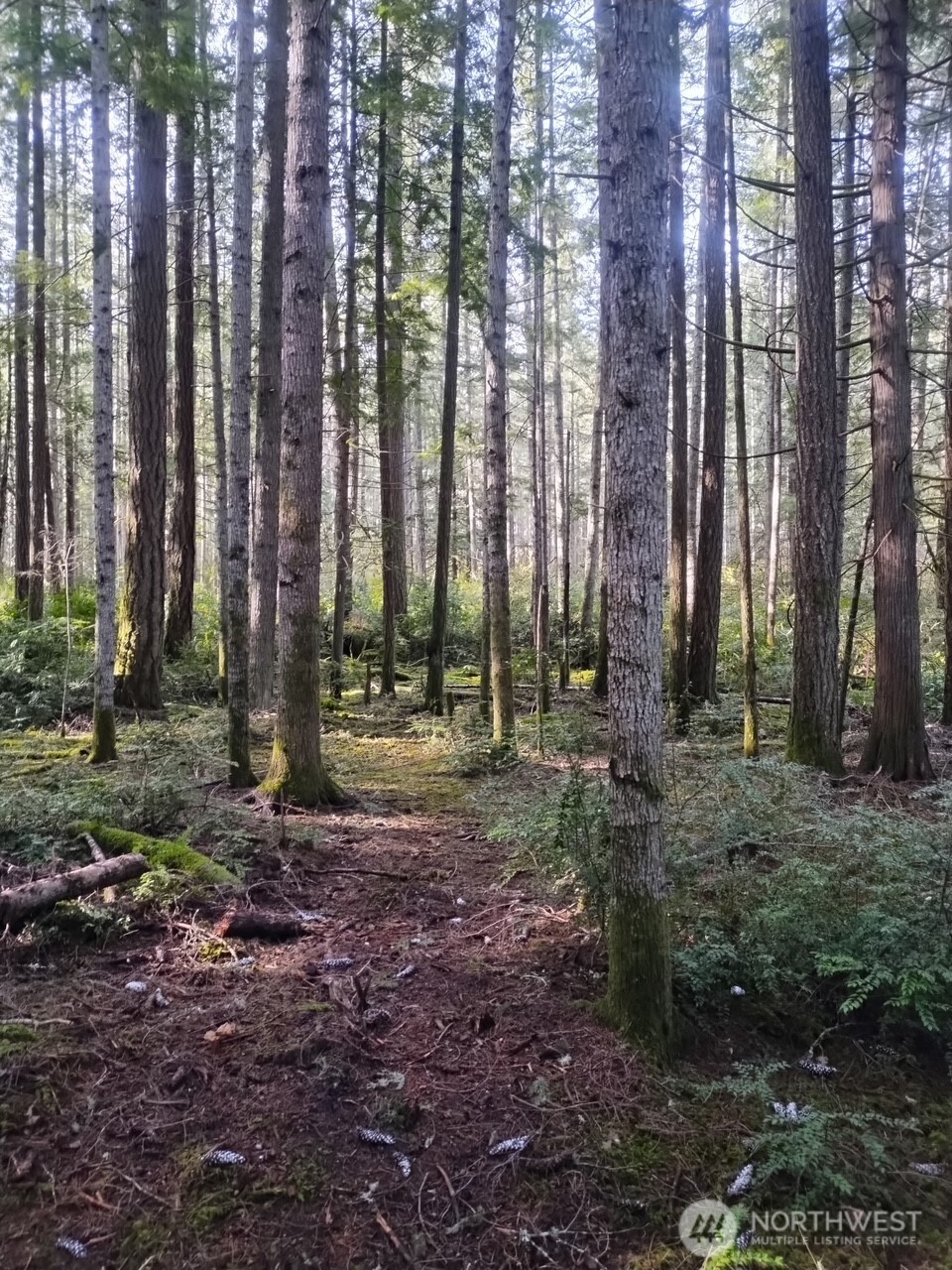 0 Old Sawmill Place NW, Bremerton, WA 98383