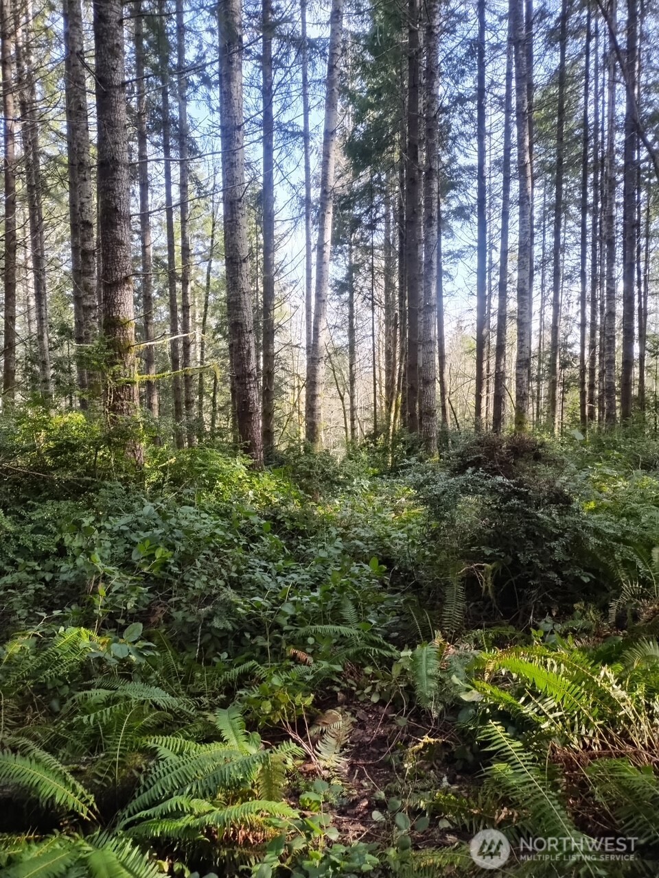 0 Old Sawmill Place NW, Bremerton, WA 98383