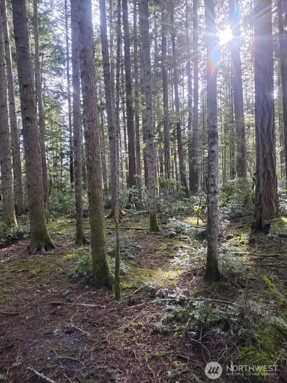 0 Old Sawmill Place NW, Bremerton, WA 98383