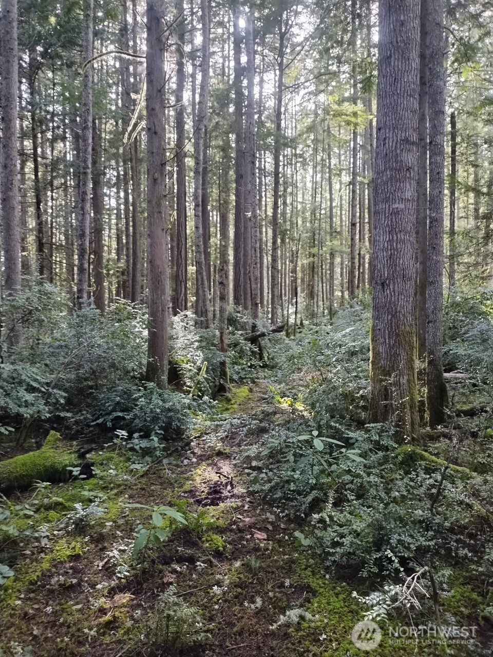 0 Old Sawmill Place NW, Bremerton, WA 98383