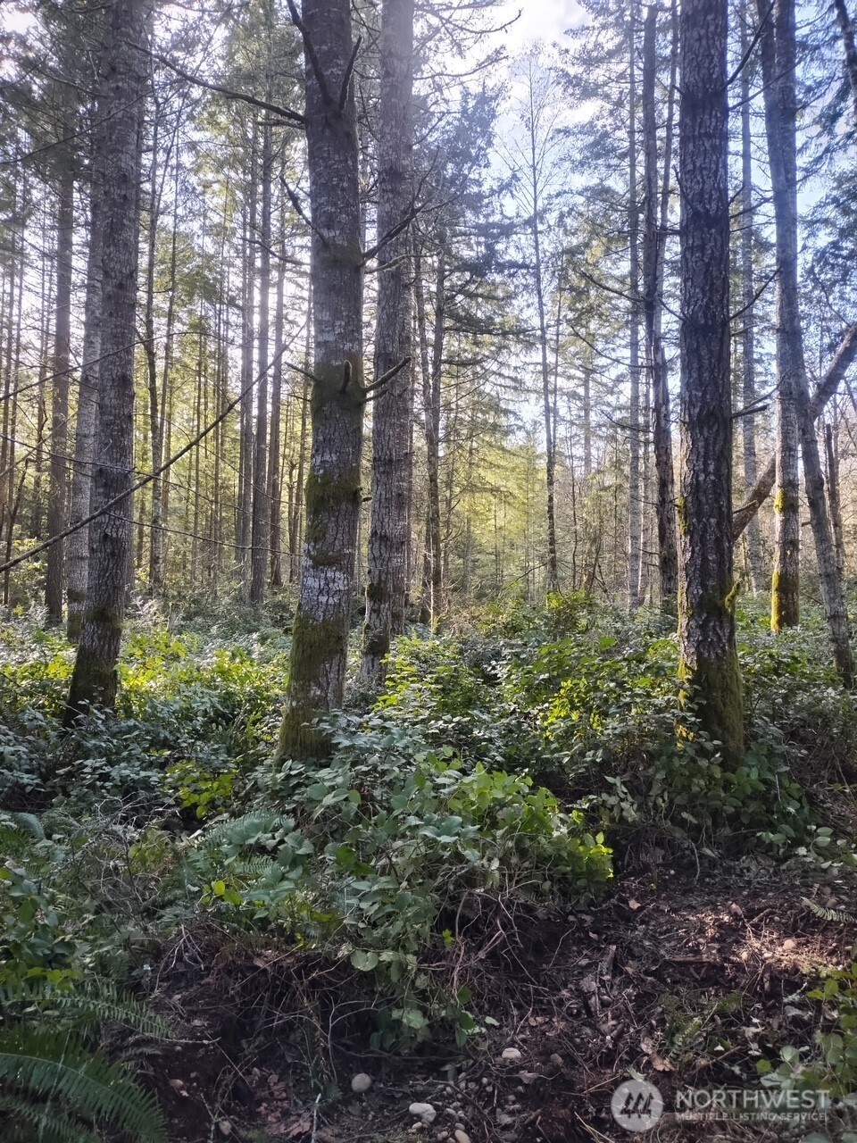 0 Old Sawmill Place NW, Bremerton, WA 98383