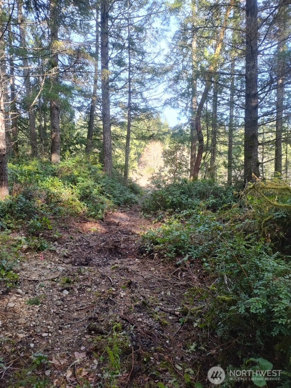 0 Old Sawmill Place NW, Bremerton, WA 98383