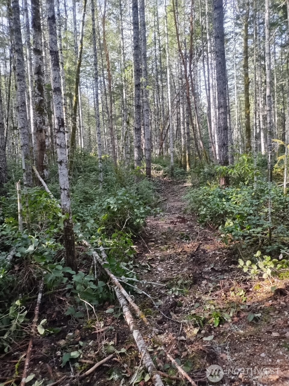 0 Old Sawmill Place NW, Bremerton, WA 98383