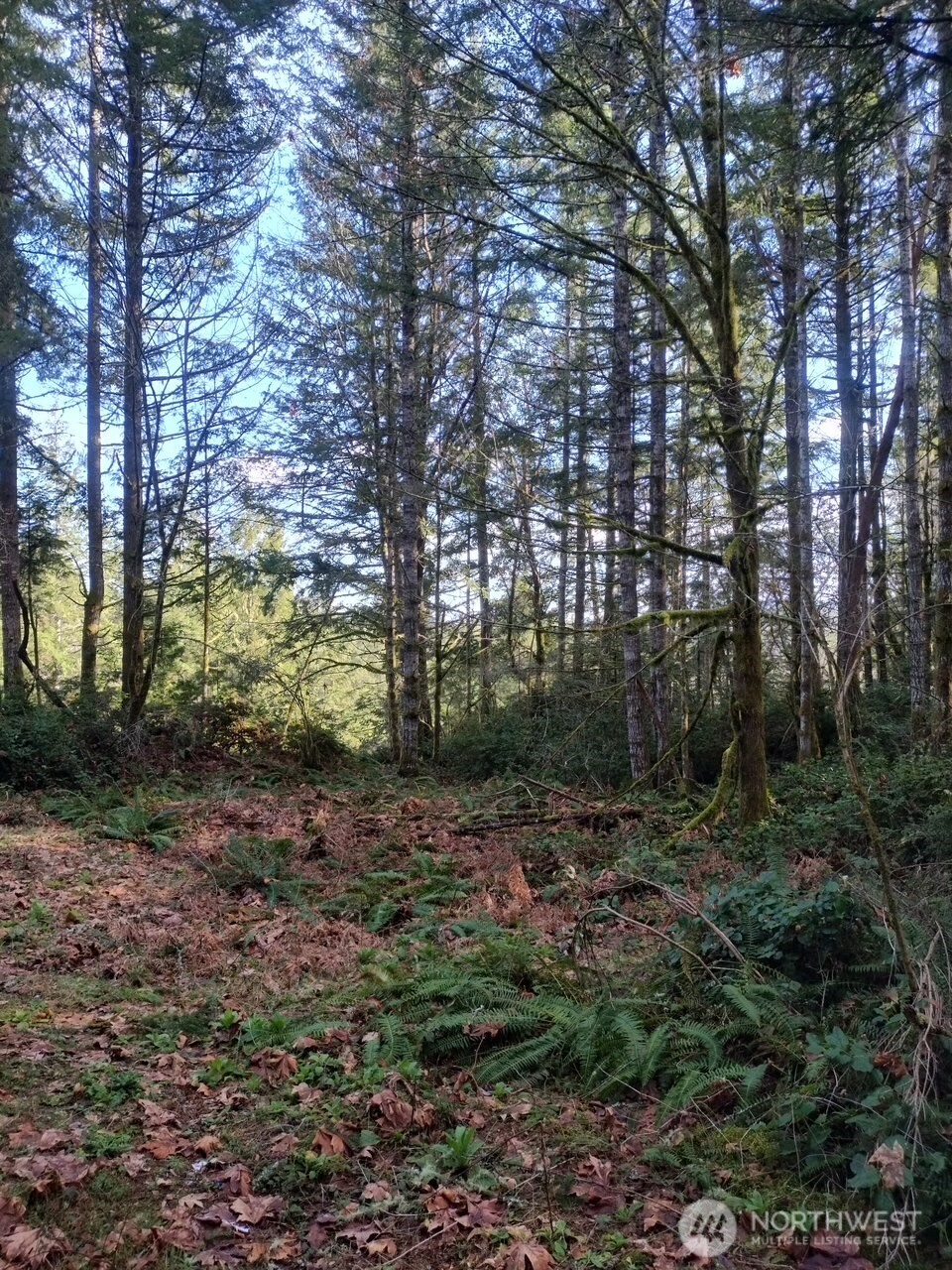 0 Old Sawmill Place NW, Bremerton, WA 98383