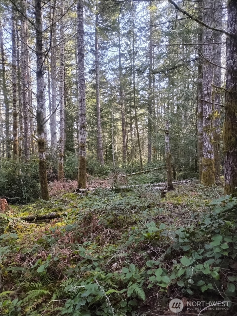 0 Old Sawmill Place NW, Bremerton, WA 98383