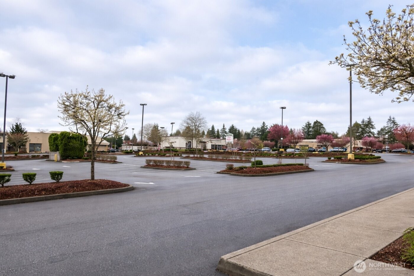 1816 S Mildred St Street #A, Tacoma, WA 98465