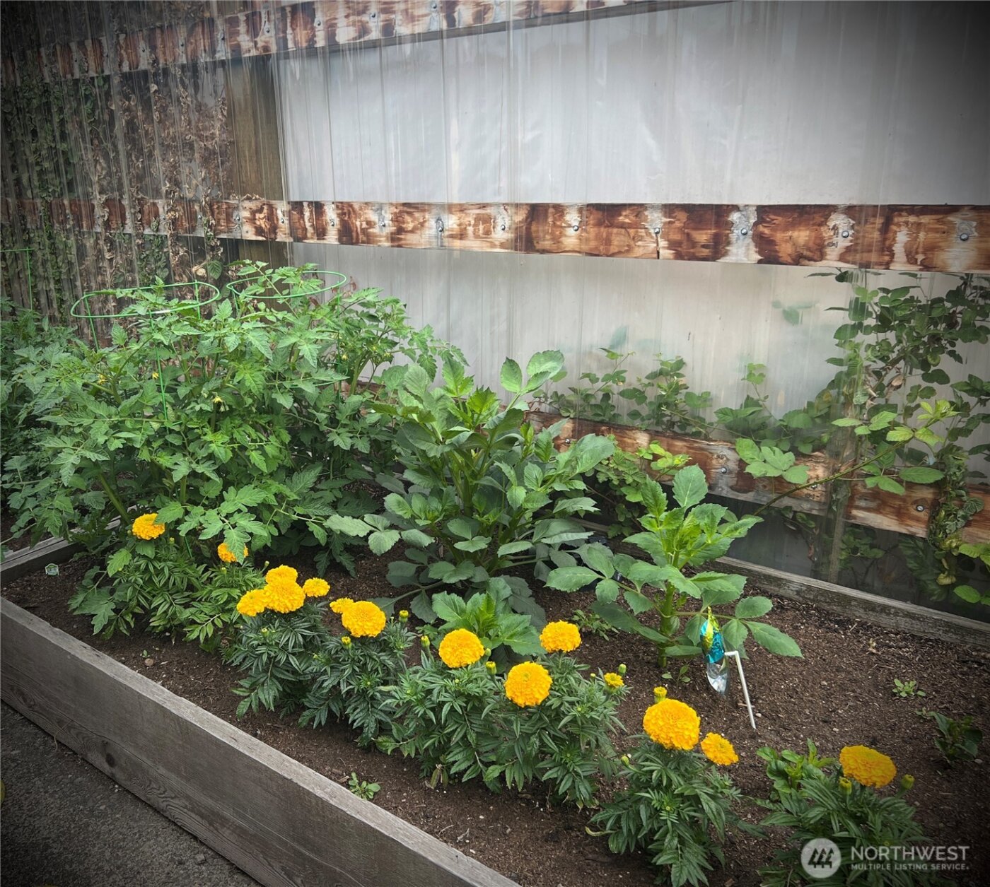 713 N Tower Avenue #A/B, Centralia, WA 98531