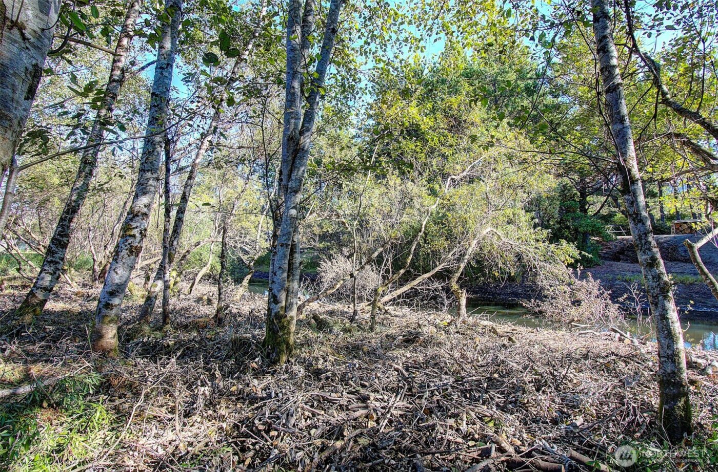 29908 H Street , Ocean Park, WA 98640