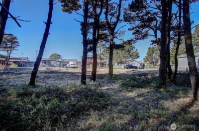 29908 H Street , Ocean Park, WA 98640 - Photo 8