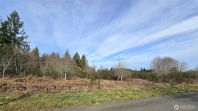 0 Garden Hill Road E, Elma, WA 98541 - Photo 2