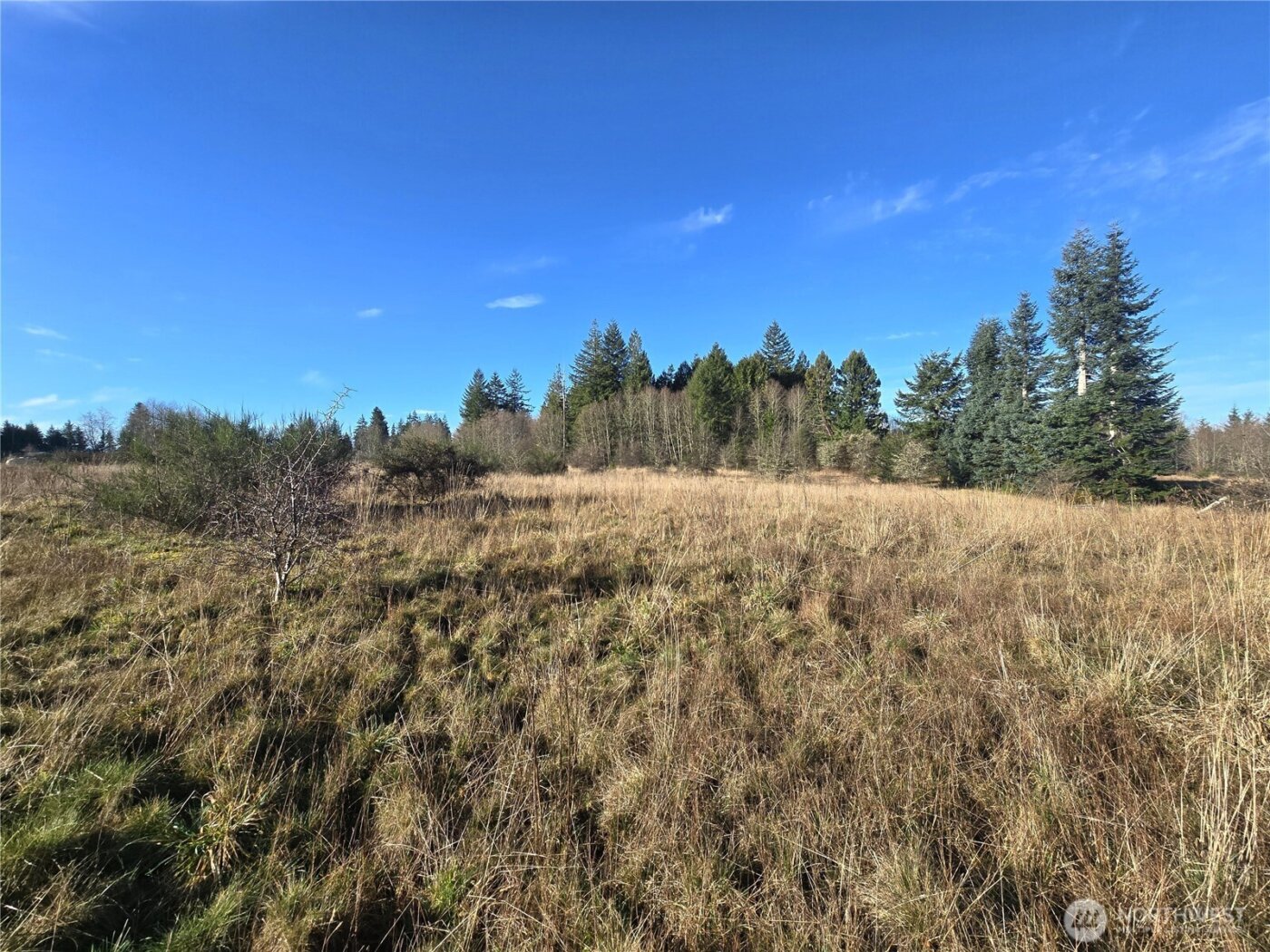 0 Garden Hill Road E, Elma, WA 98541