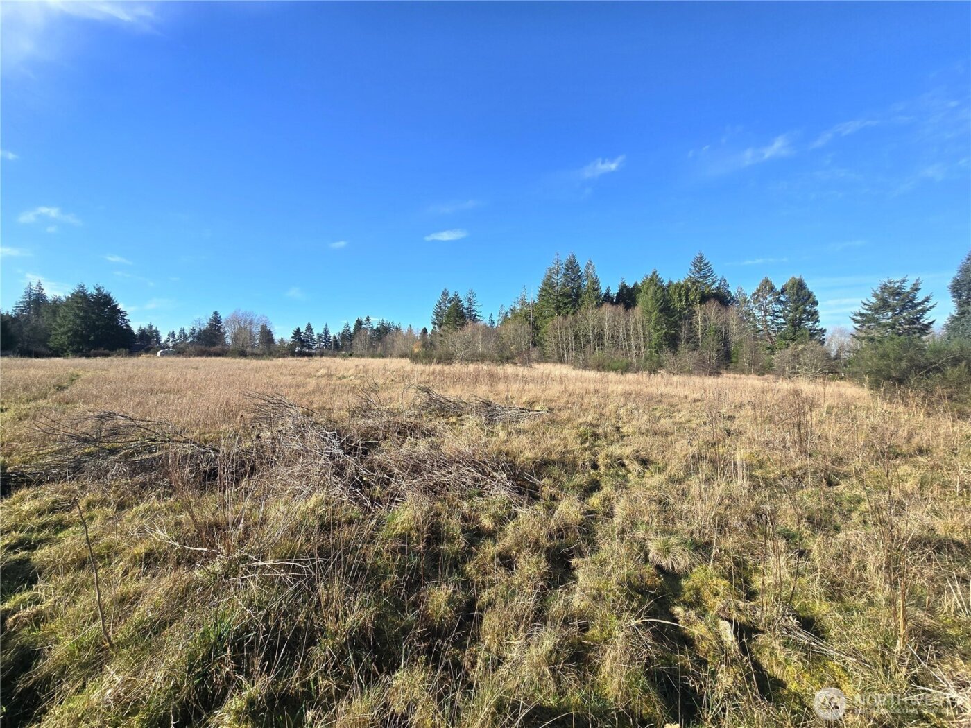 0 Garden Hill Road E, Elma, WA 98541