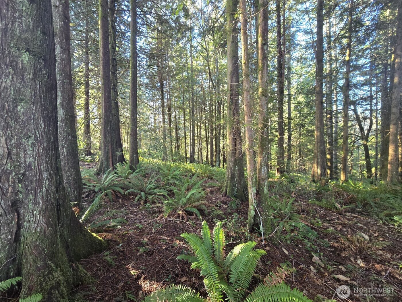 0 Garden Hill Road E, Elma, WA 98541