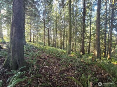 0 Garden Hill Road E, Elma, WA 98541 - Photo 8