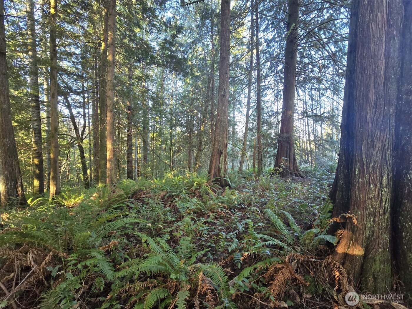 0 Garden Hill Road E, Elma, WA 98541