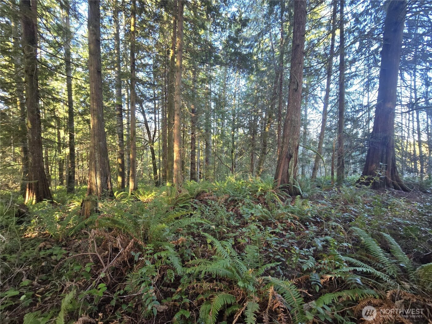 0 Garden Hill Road E, Elma, WA 98541