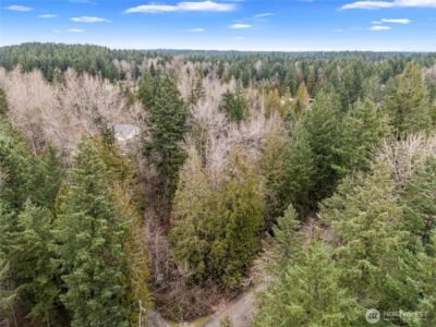 29909 68th Avenue S, Roy, WA 98580 - Photo 6