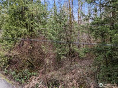 29909 68th Avenue S, Roy, WA 98580 - Photo 7