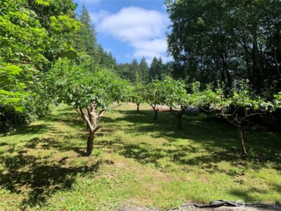 12832 Hunter Road SW, Rochester, WA 98579 - Photo 29