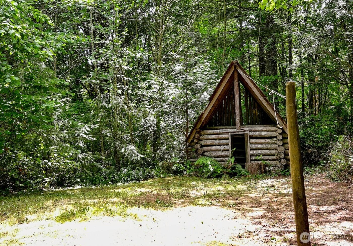 12832 Hunter Road SW, Rochester, WA 98579