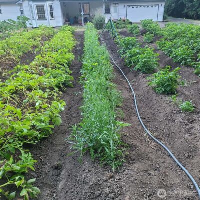 12832 Hunter Road SW, Rochester, WA 98579 - Photo 32