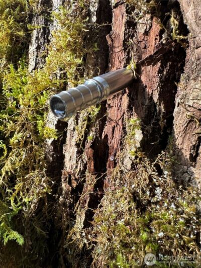 12832 Hunter Road SW, Rochester, WA 98579 - Photo 35