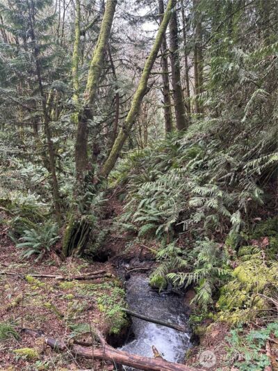 12832 Hunter Road SW, Rochester, WA 98579 - Photo 36