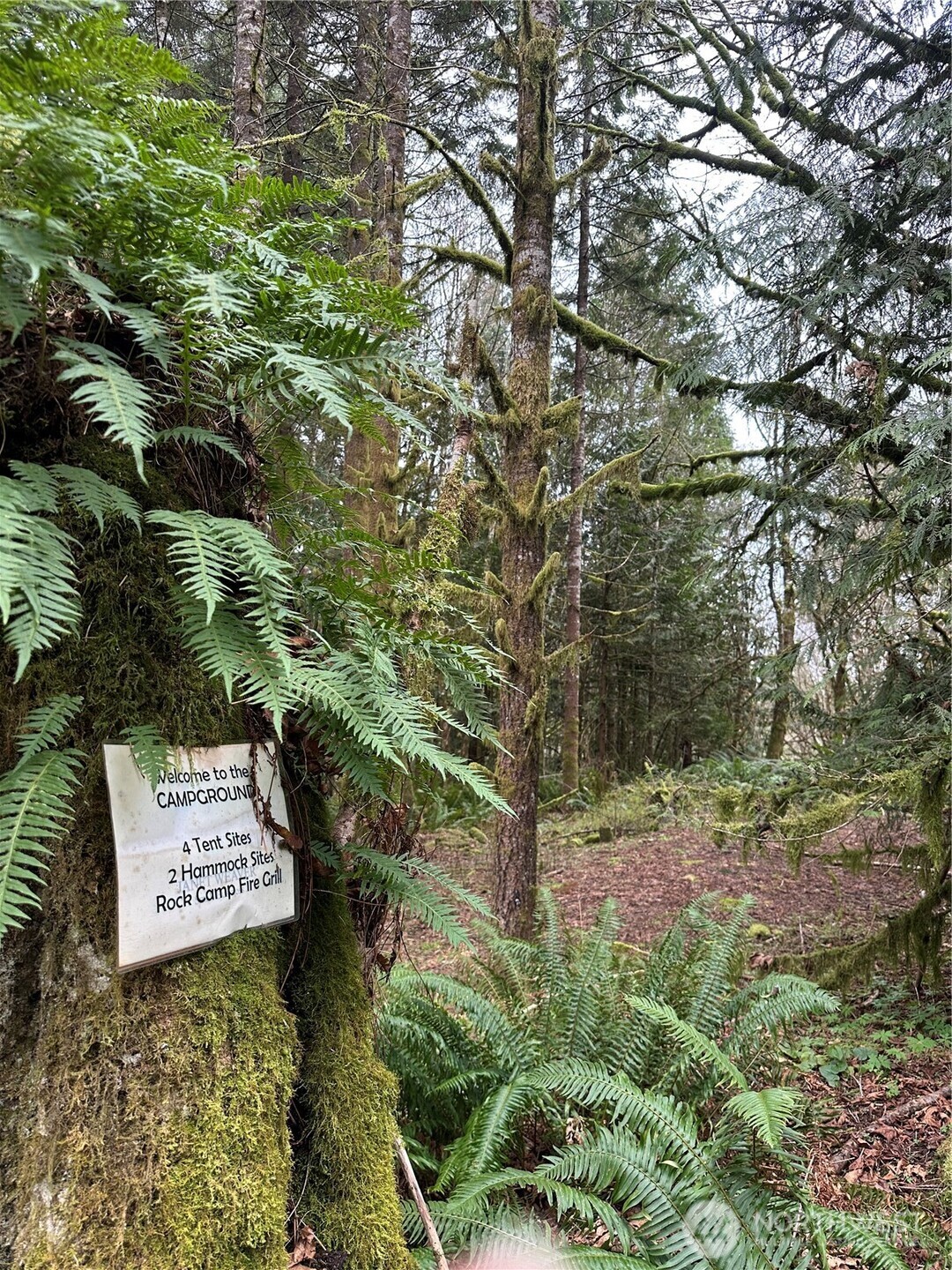 12832 Hunter Road SW, Rochester, WA 98579