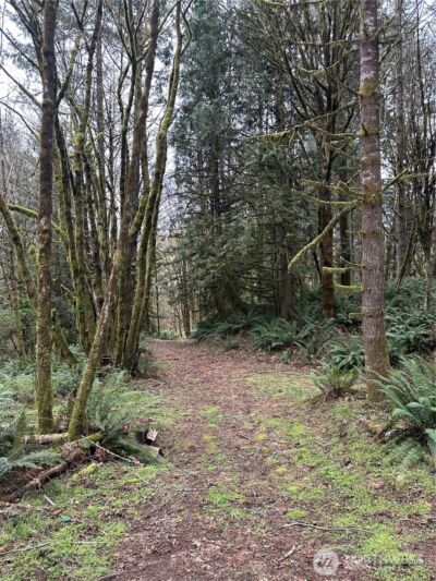 12832 Hunter Road SW, Rochester, WA 98579 - Photo 39