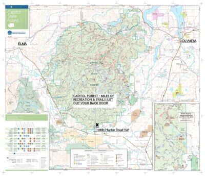 12832 Hunter Road SW, Rochester, WA 98579 - Photo 4