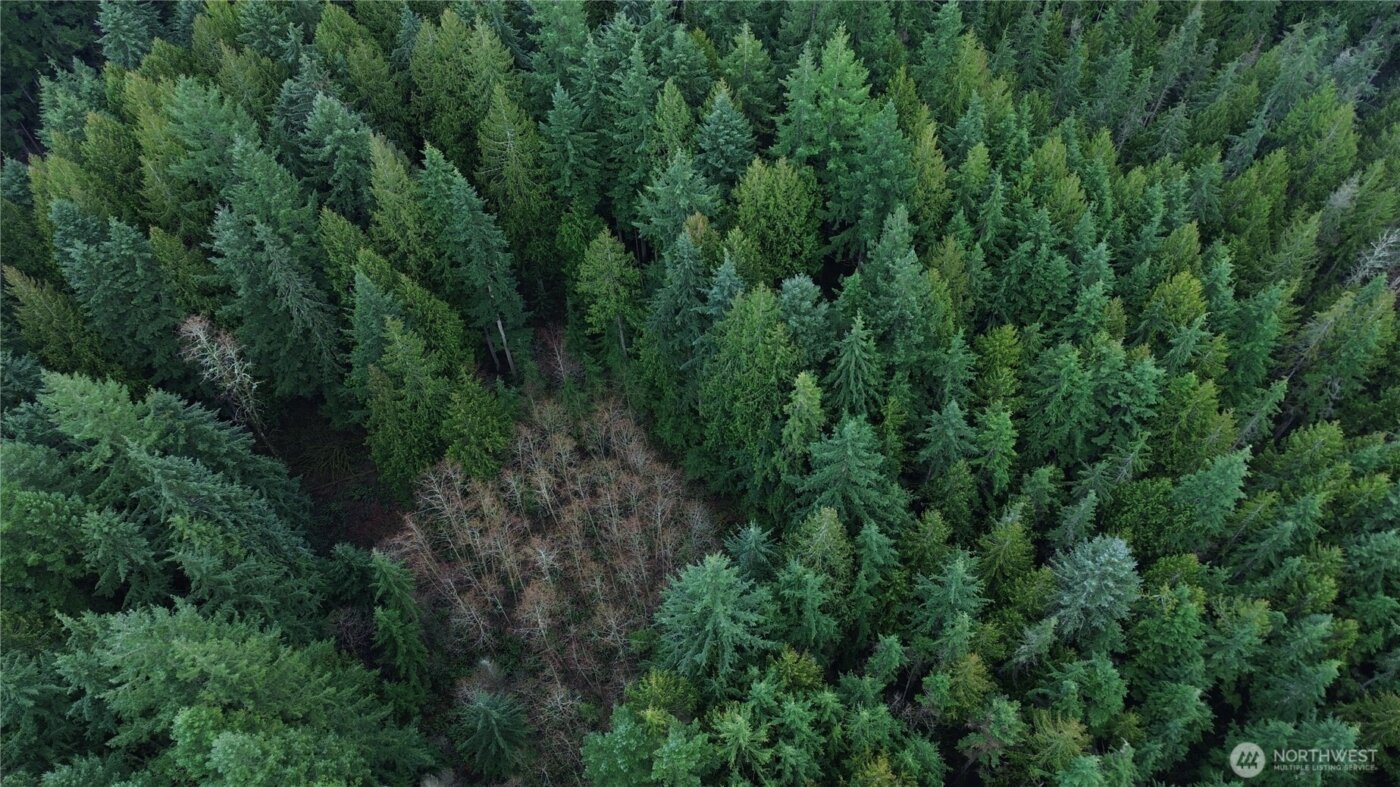 17425 McElroy Road , Arlington, WA 98223