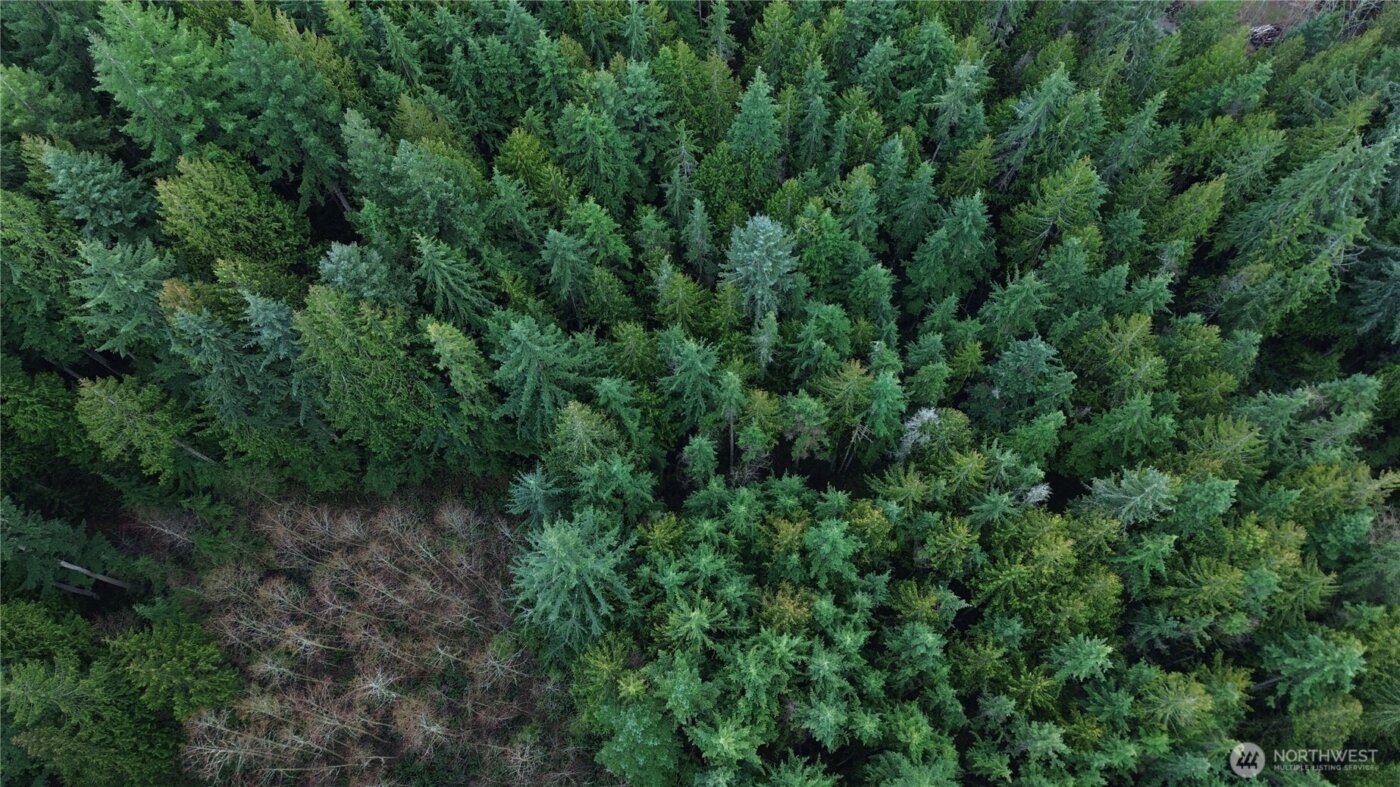 17425 McElroy Road , Arlington, WA 98223