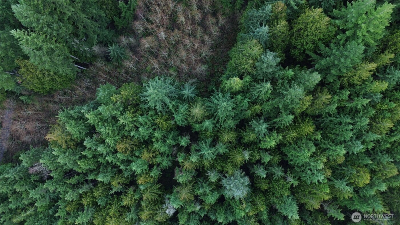 17425 McElroy Road , Arlington, WA 98223