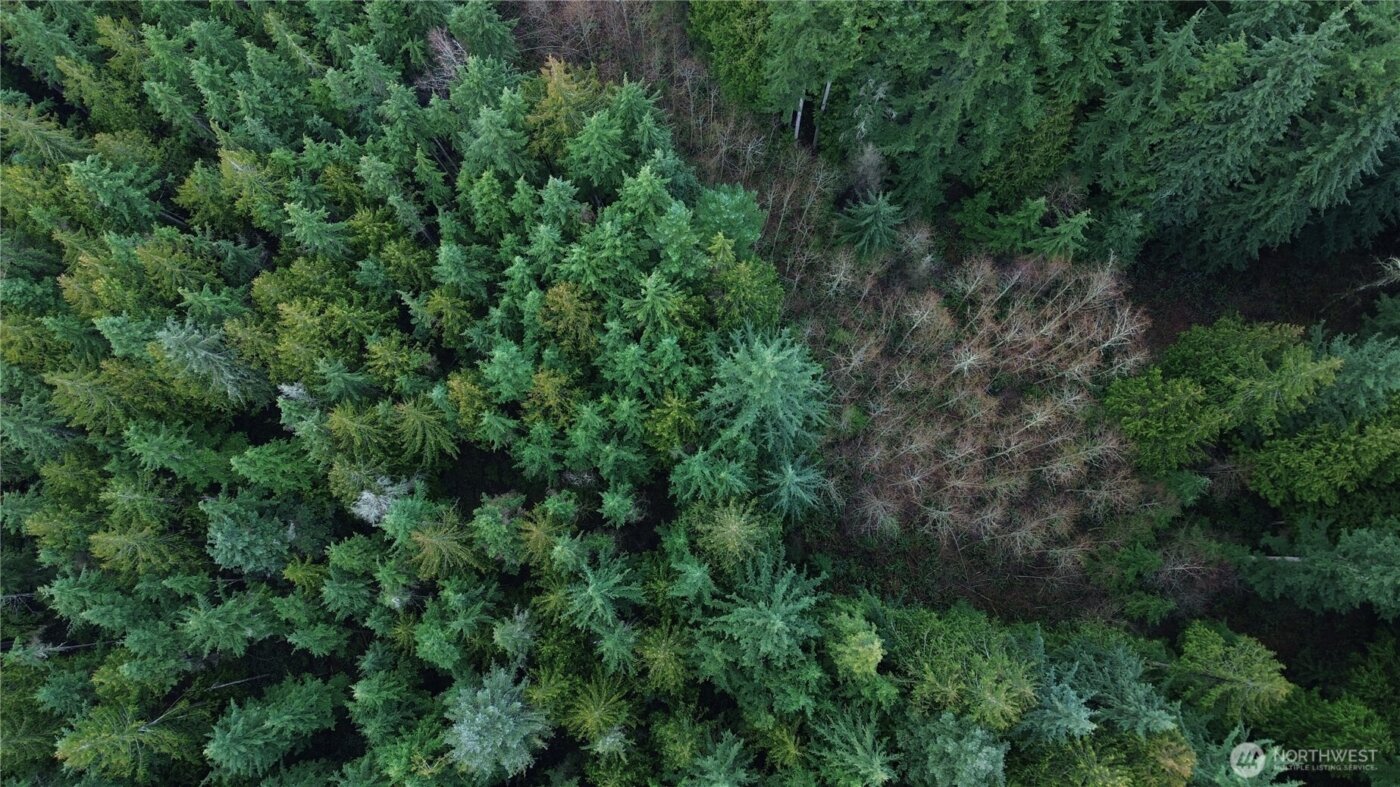 17425 McElroy Road , Arlington, WA 98223