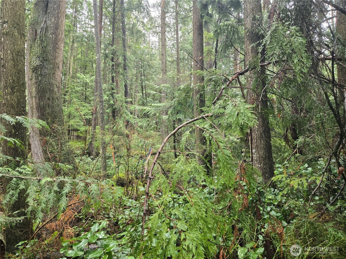 17425 McElroy Road , Arlington, WA 98223