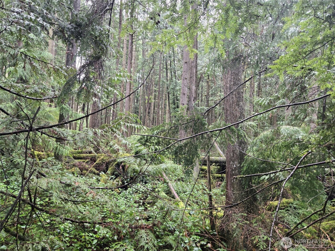 17425 McElroy Road , Arlington, WA 98223