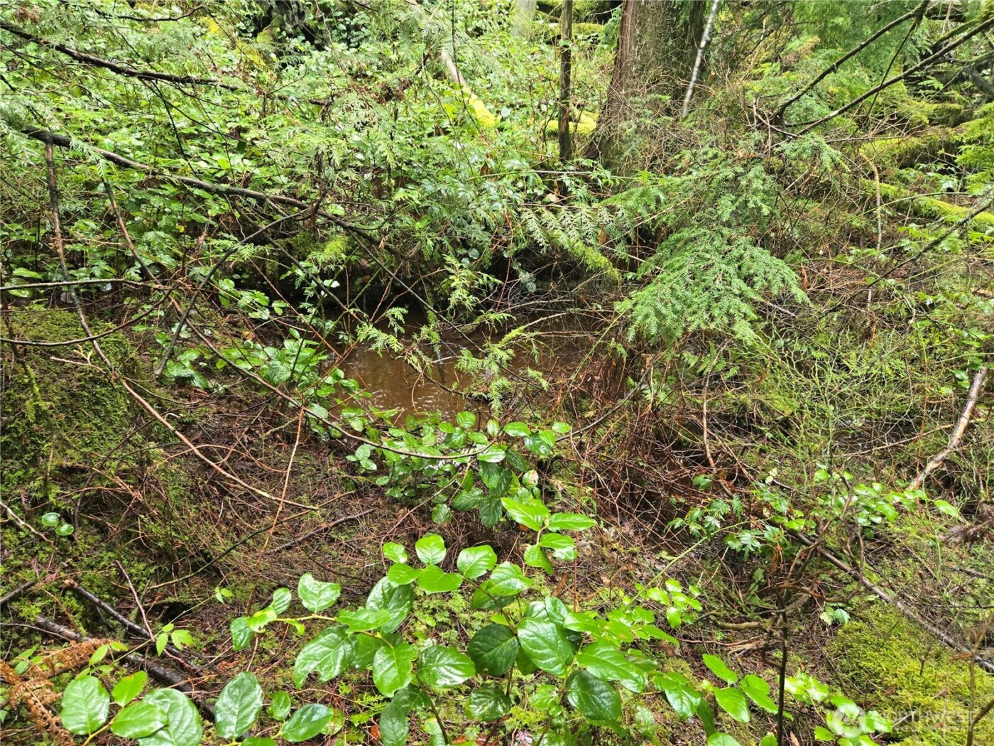 17425 McElroy Road , Arlington, WA 98223