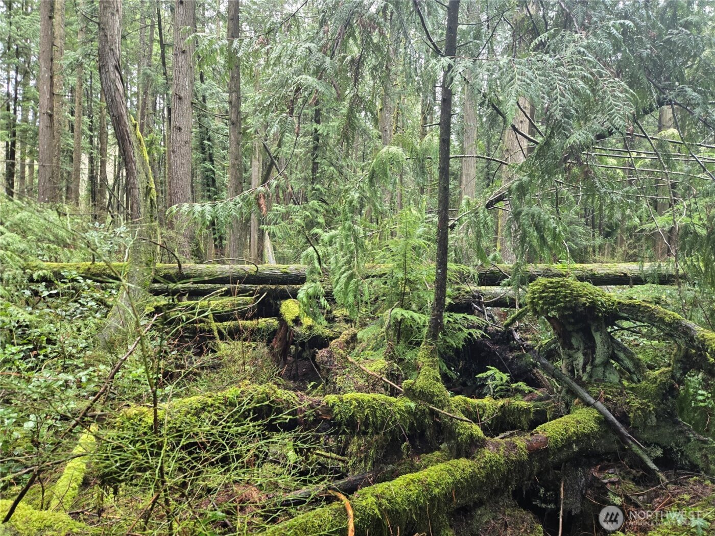 17425 McElroy Road , Arlington, WA 98223