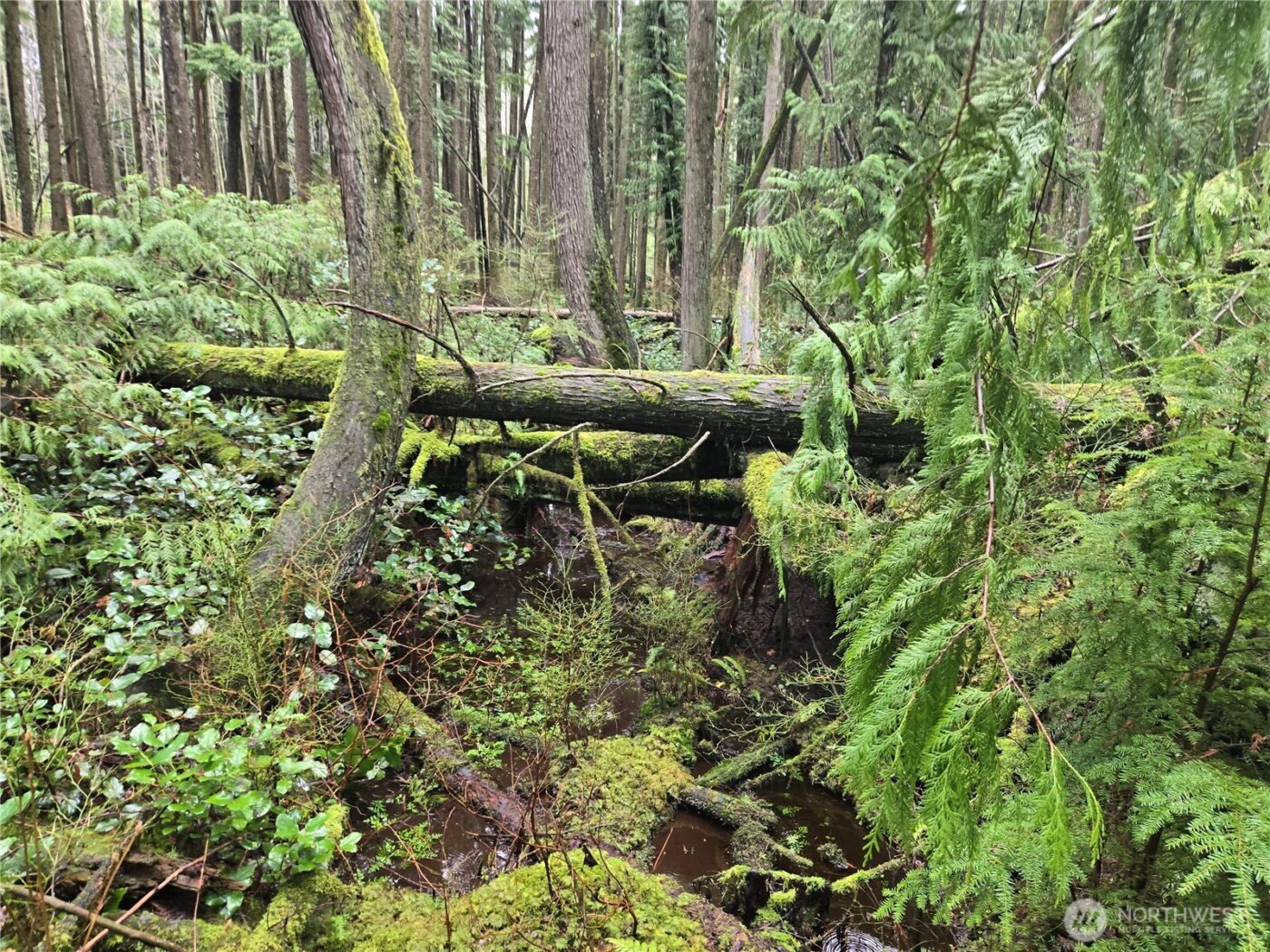 17425 McElroy Road , Arlington, WA 98223