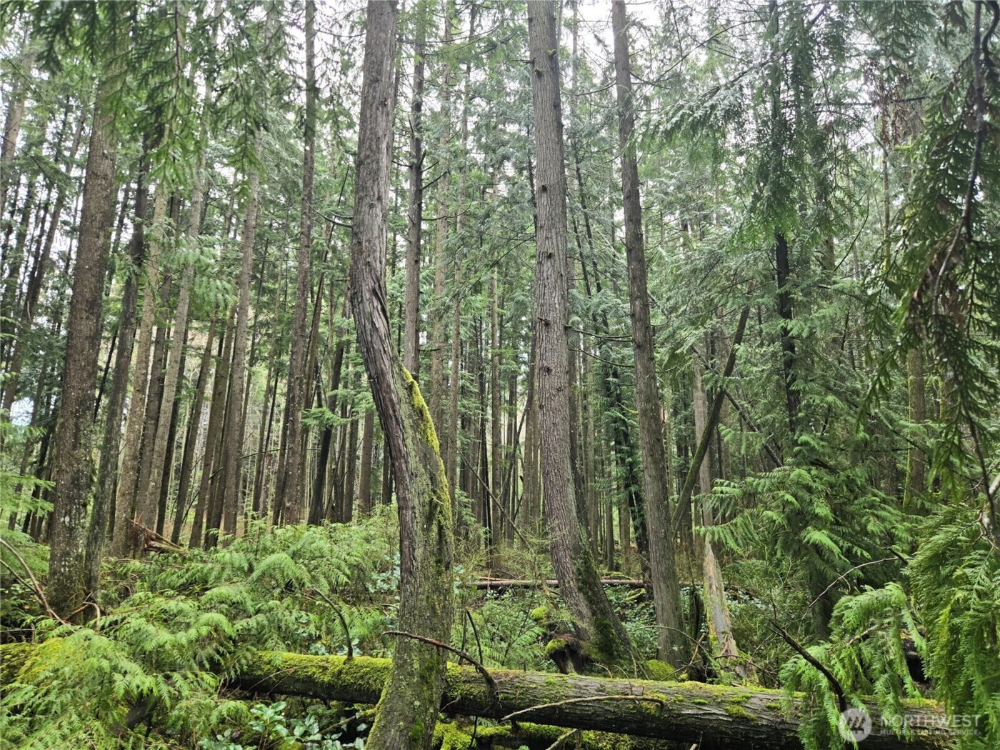 17425 McElroy Road , Arlington, WA 98223