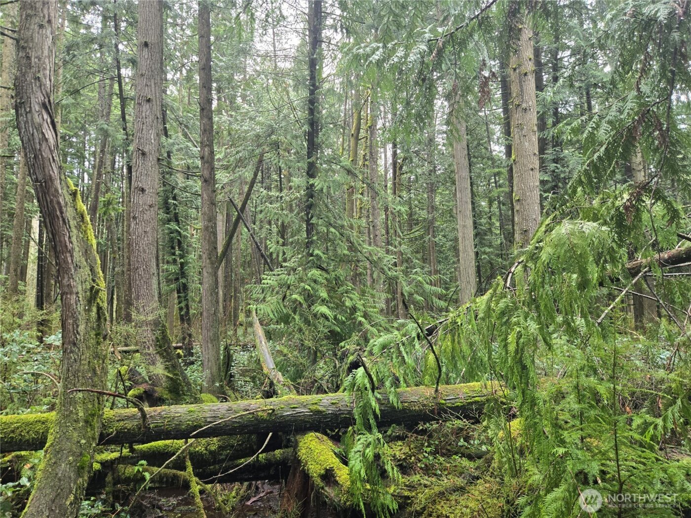 17425 McElroy Road , Arlington, WA 98223