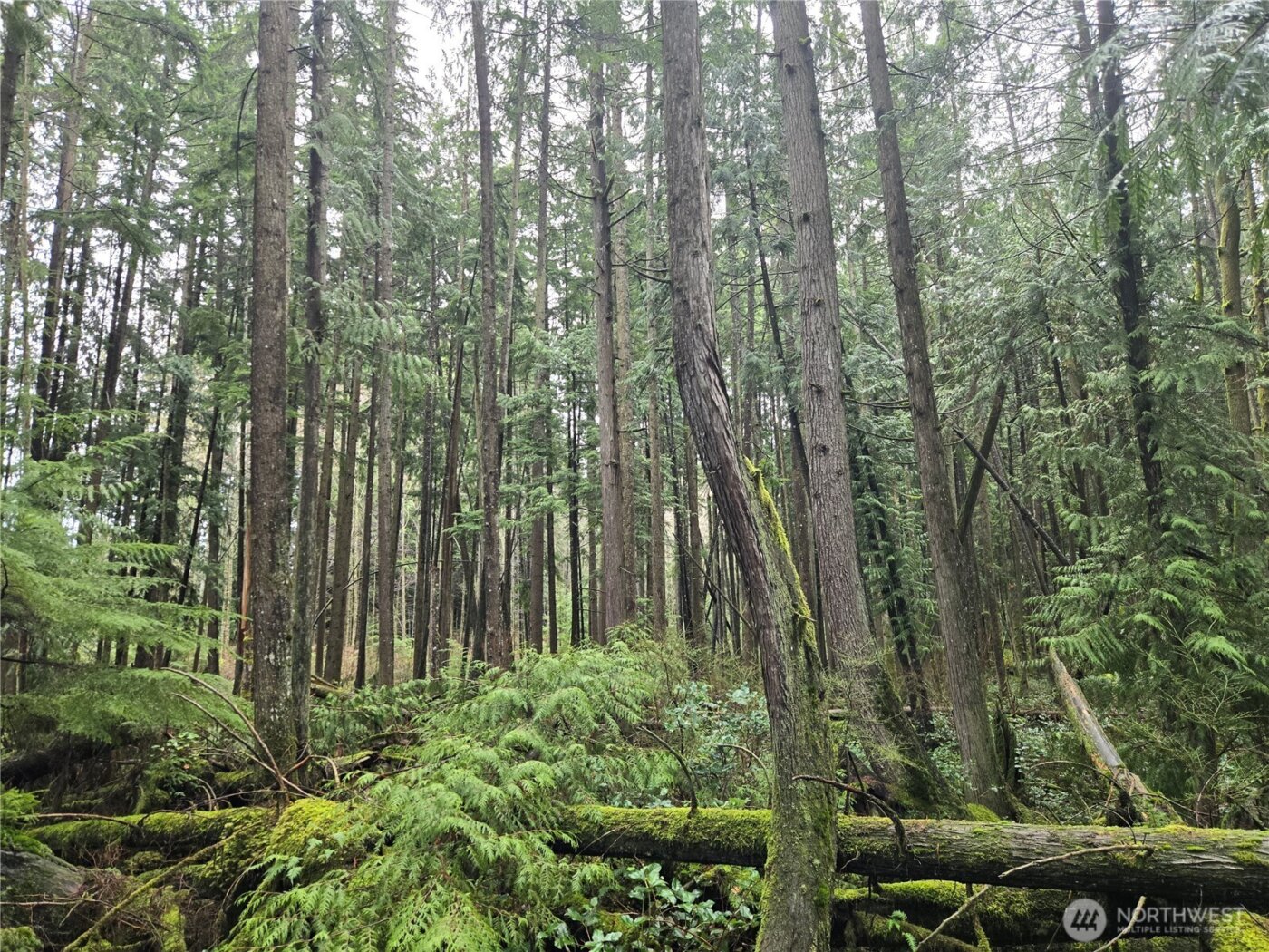 17425 McElroy Road , Arlington, WA 98223