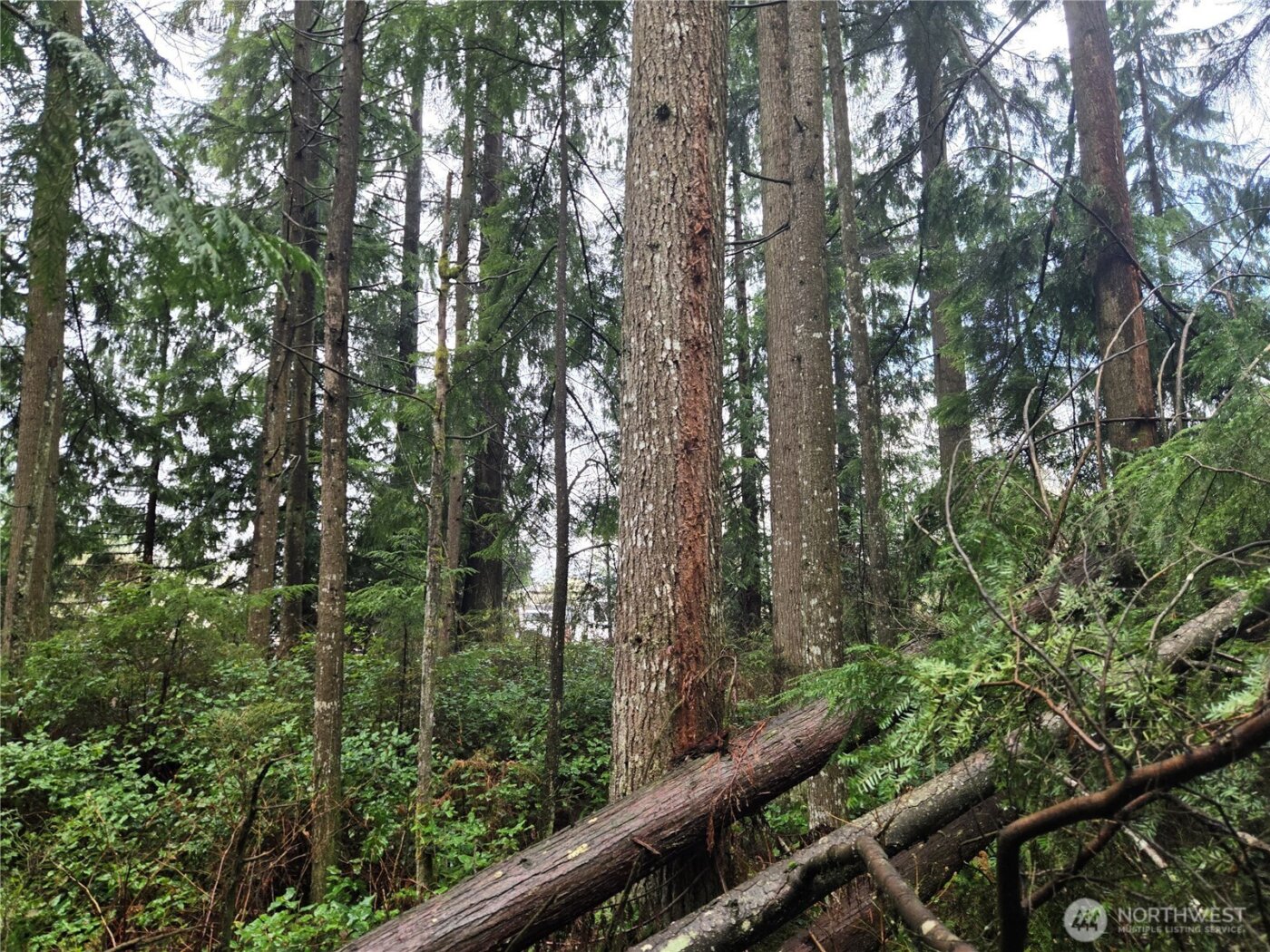 17425 McElroy Road , Arlington, WA 98223