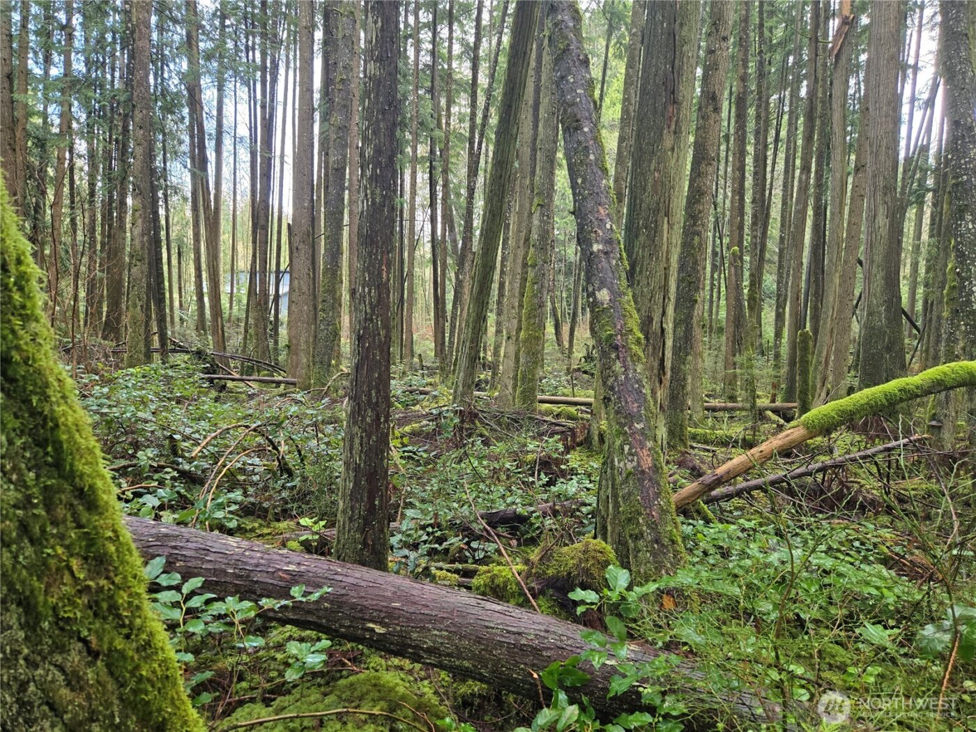 17425 McElroy Road , Arlington, WA 98223