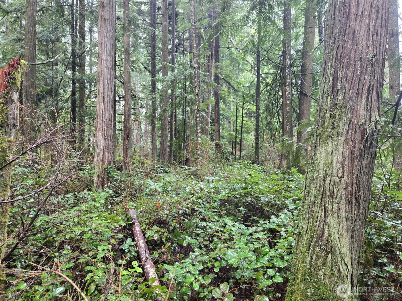 17425 McElroy Road , Arlington, WA 98223