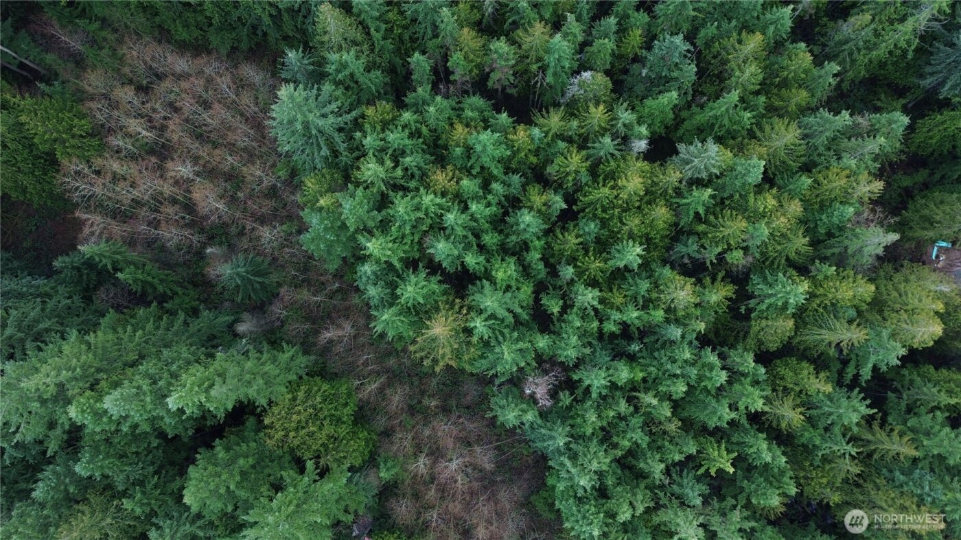 17425 McElroy Road , Arlington, WA 98223