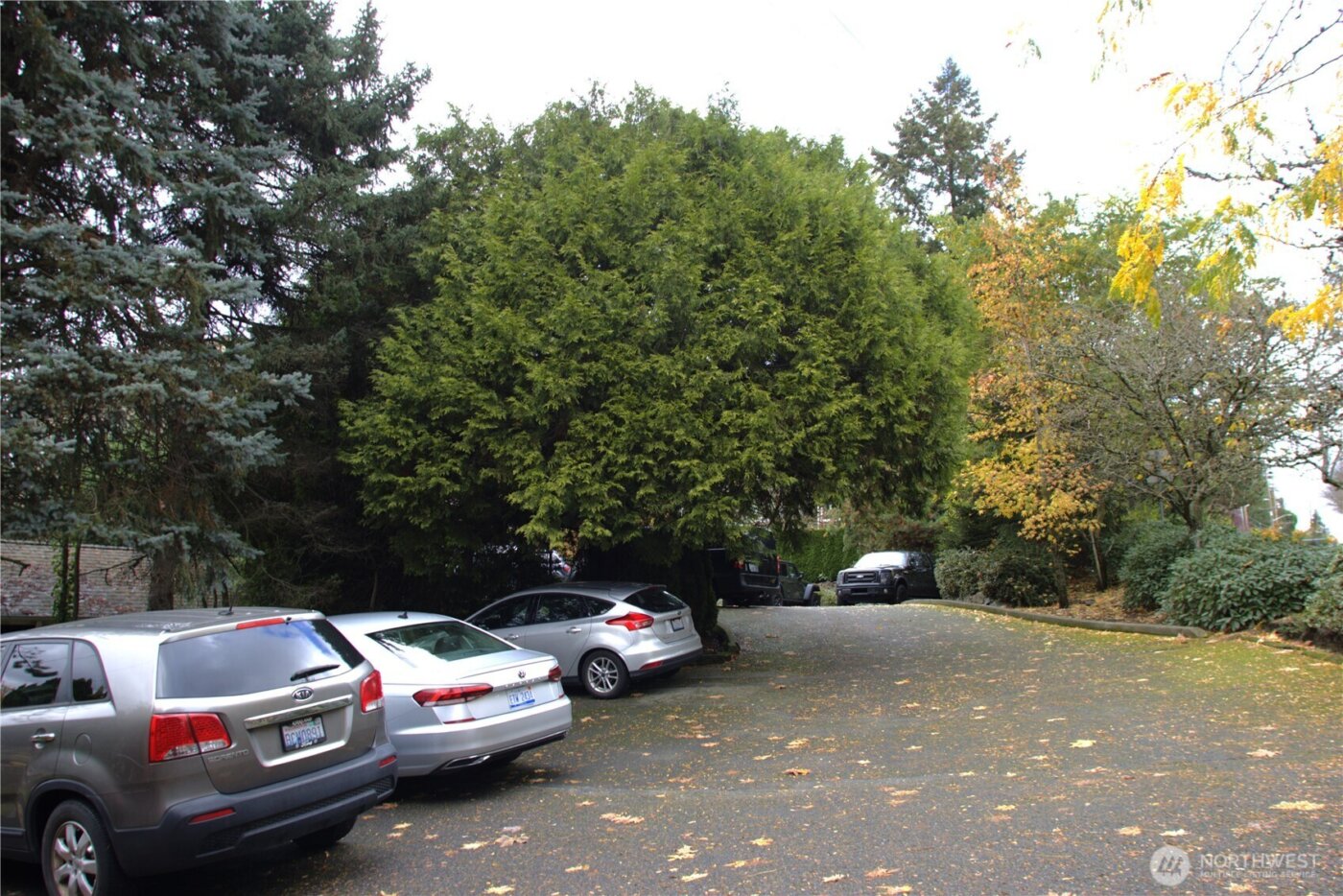 11644 NE 80th Street , Kirkland, WA 98033